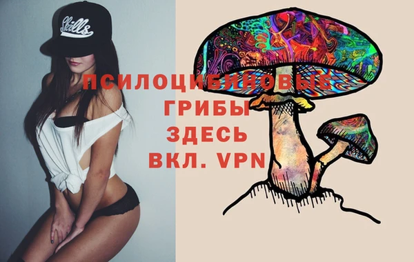 мескалин Заводоуковск